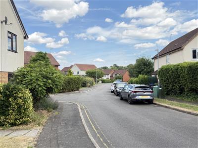 Picture 20